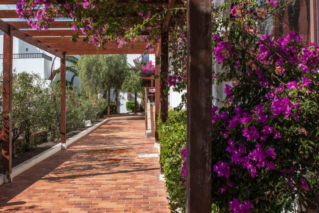 شقة The Colors House كوستا تاغيسي المظهر الخارجي الصورة